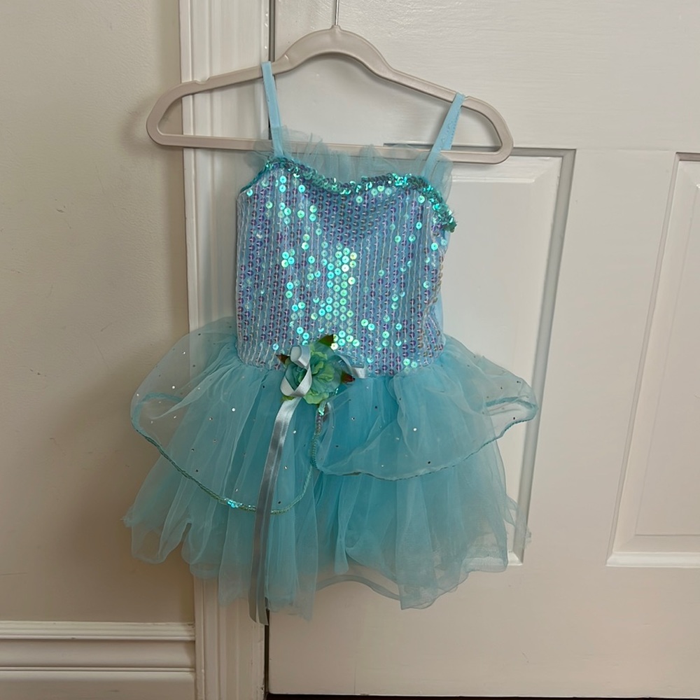 Little girl princess dress. Never worn.